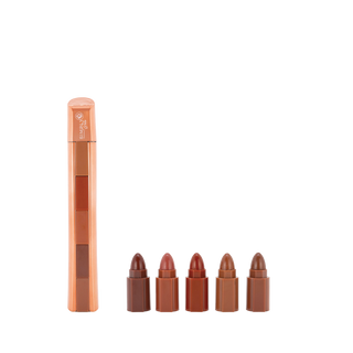 5 in 1 Lipstick