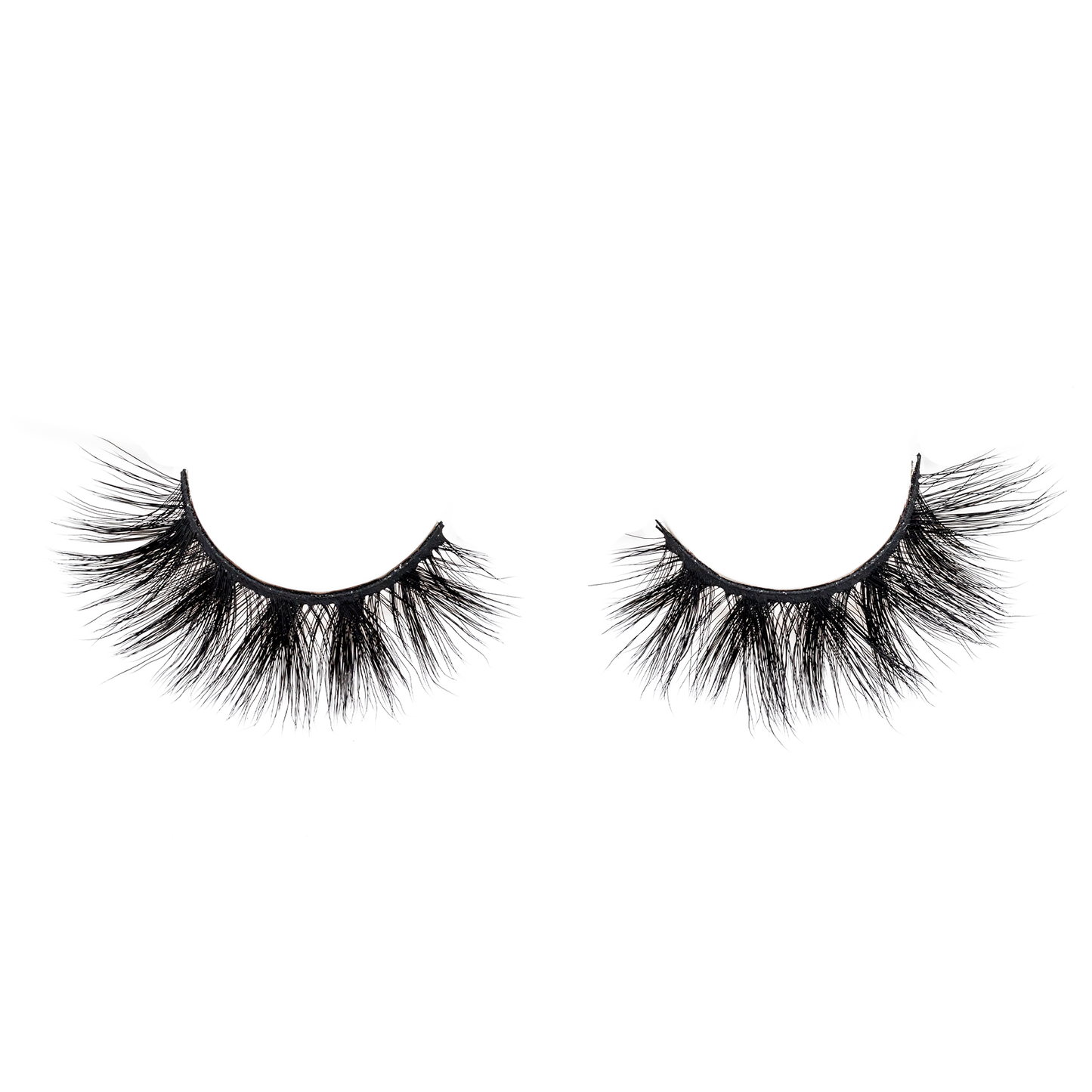 Celebrity Lashes