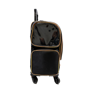 Medium Sized Make Up Luggage