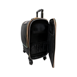 Medium Sized Make Up Luggage